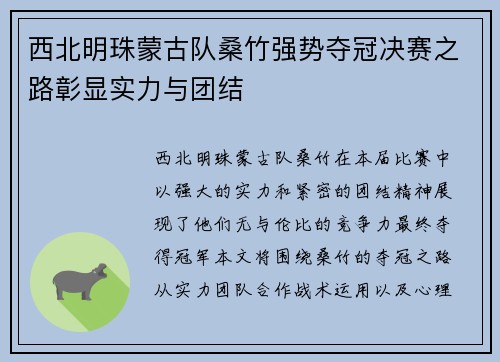 西北明珠蒙古队桑竹强势夺冠决赛之路彰显实力与团结