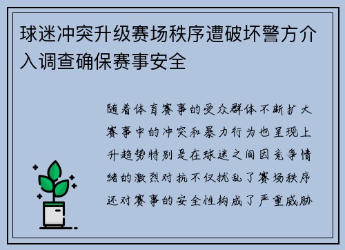 球迷冲突升级赛场秩序遭破坏警方介入调查确保赛事安全